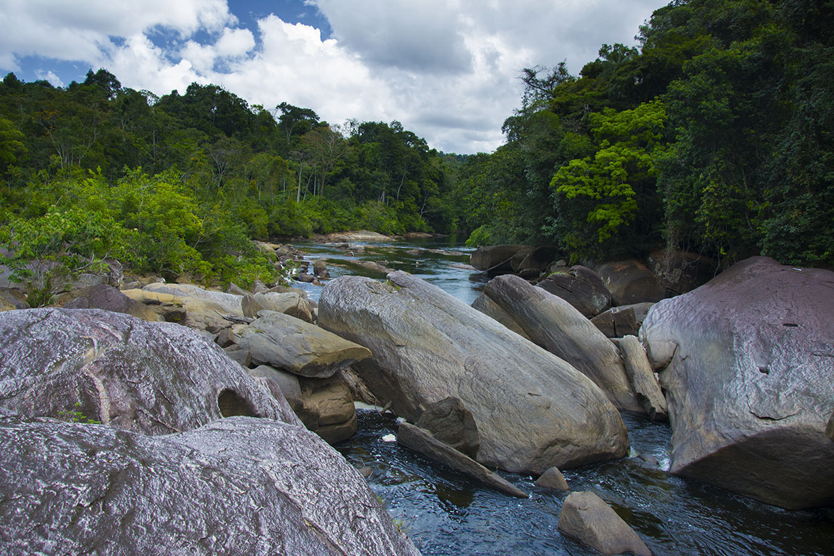 <p>Rio Tabaro (Maigualida, Amazonie), Venezuela.</p>